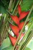Jardin Botanico (38)